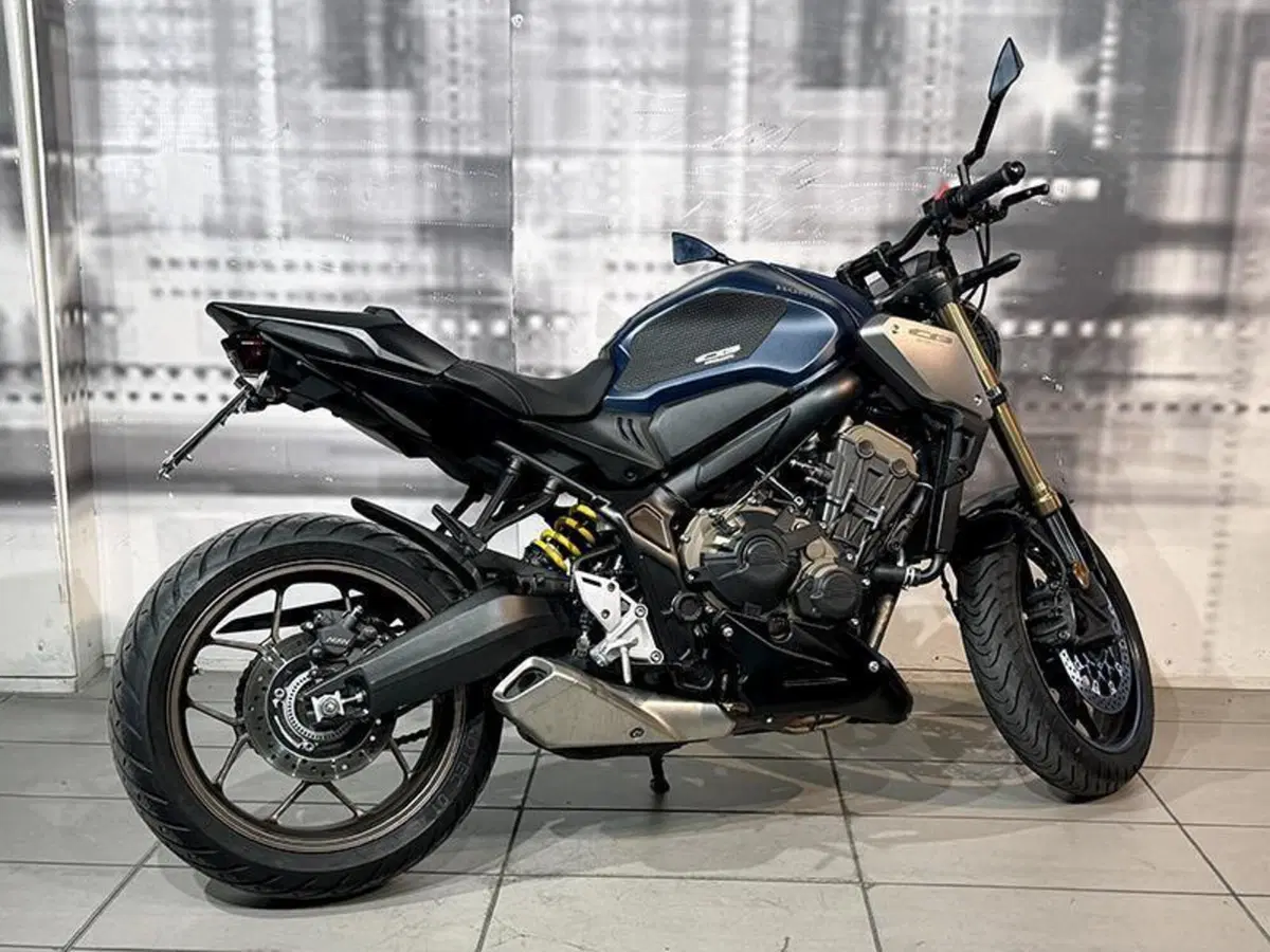 Honda CB 650 R (2019 - 20) (7)