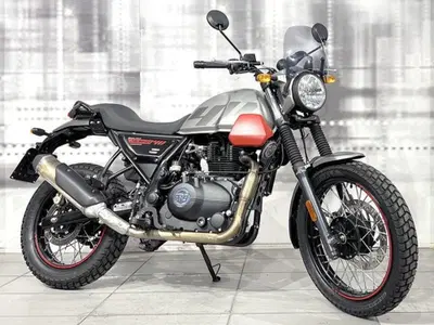 Royal Enfield Scram 411 (2022 - 24) usata