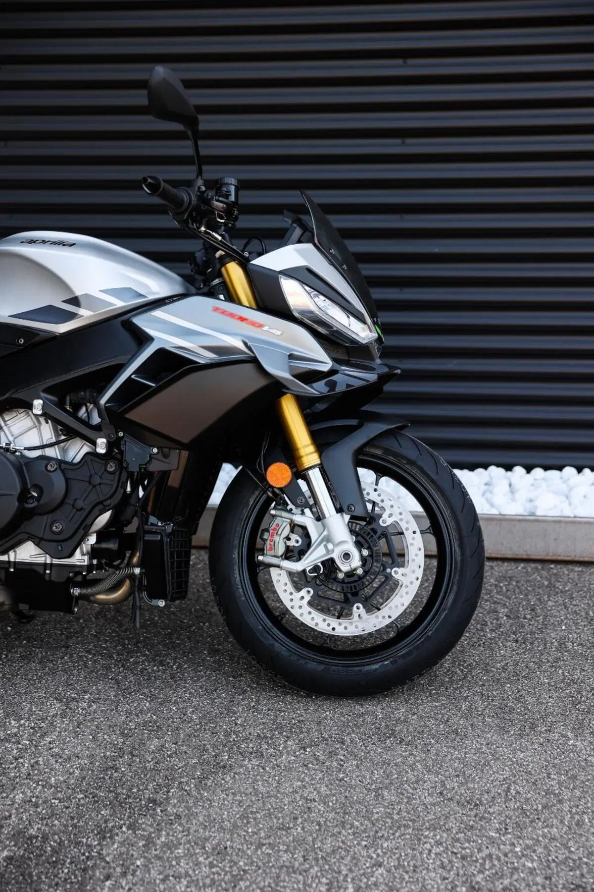 Aprilia Tuono V4 (2025 - 26) (2)