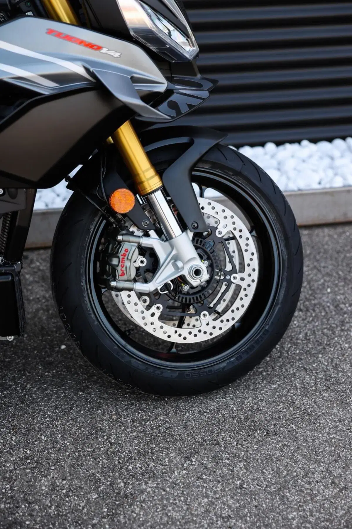 Aprilia Tuono V4 (2025 - 26) (7)