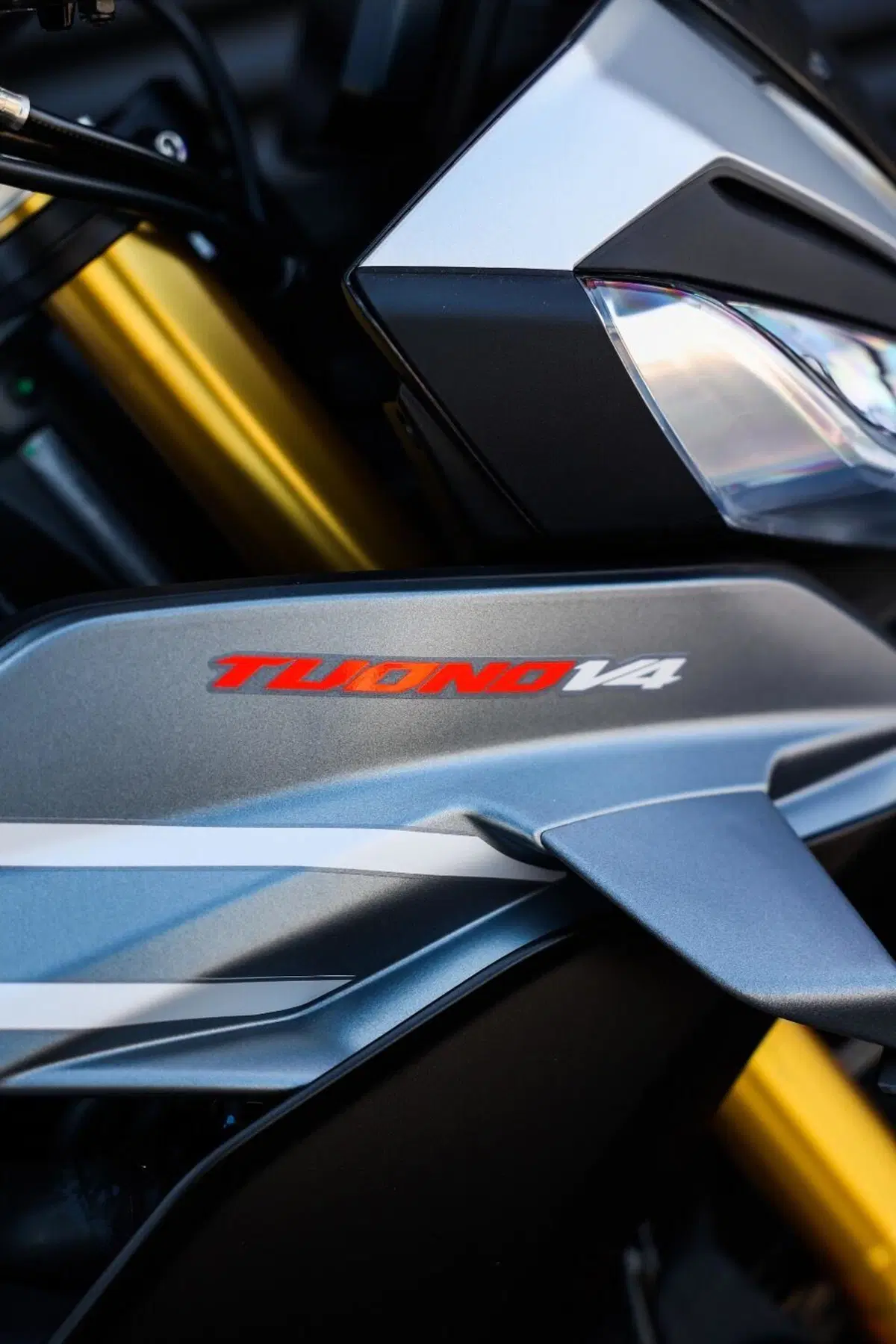 Aprilia Tuono V4 (2025 - 26) (16)