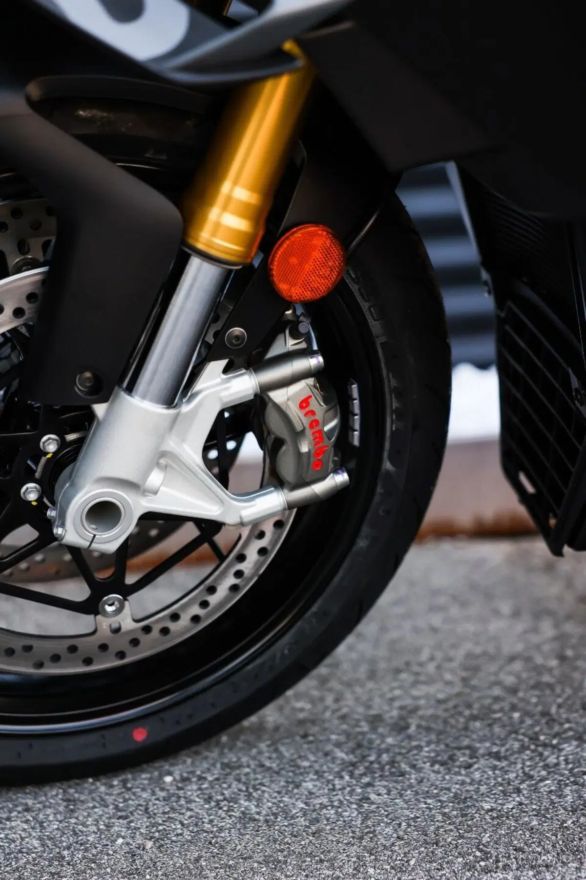 Aprilia Tuono V4 (2025 - 26) (17)