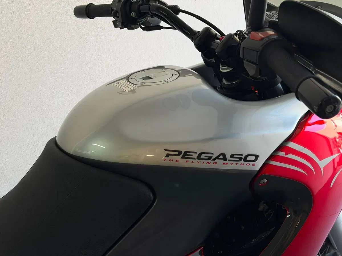 Aprilia Pegaso 650 IE (2003 - 04) (2)