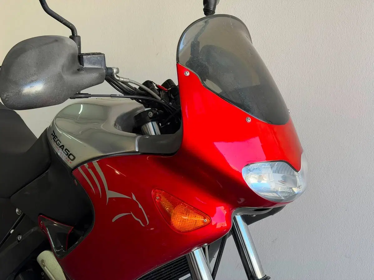 Aprilia Pegaso 650 IE (2003 - 04) (3)