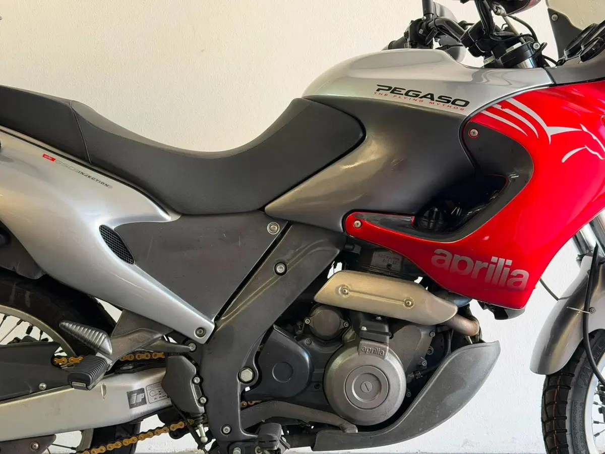 Aprilia Pegaso 650 IE (2003 - 04) (4)