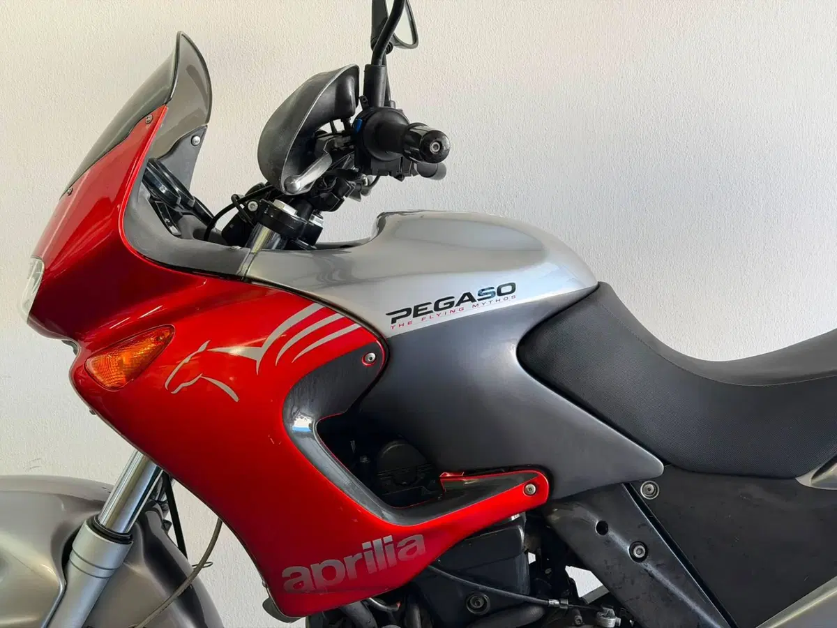 Aprilia Pegaso 650 IE (2003 - 04) (6)