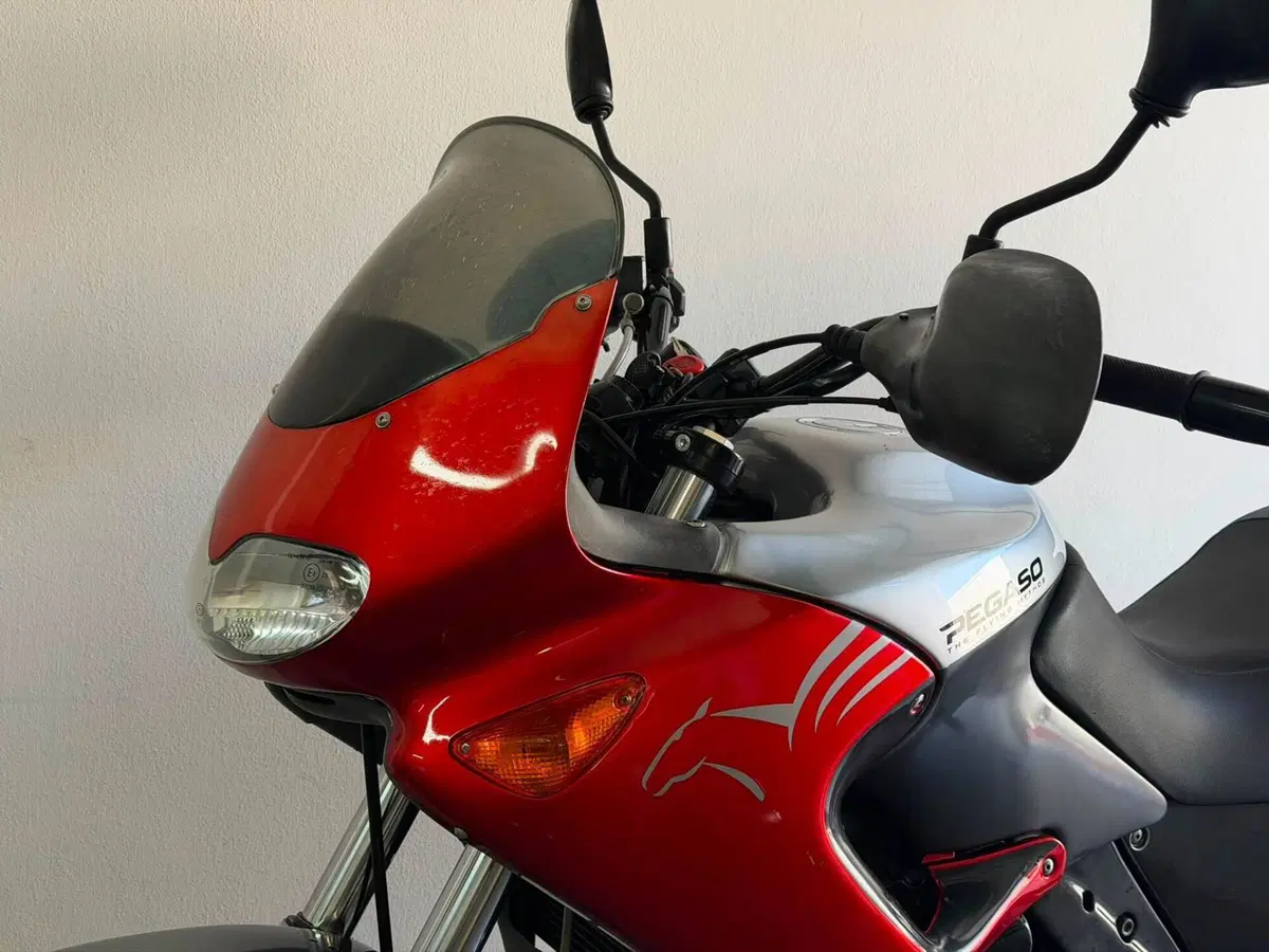 Aprilia Pegaso 650 IE (2003 - 04) (7)