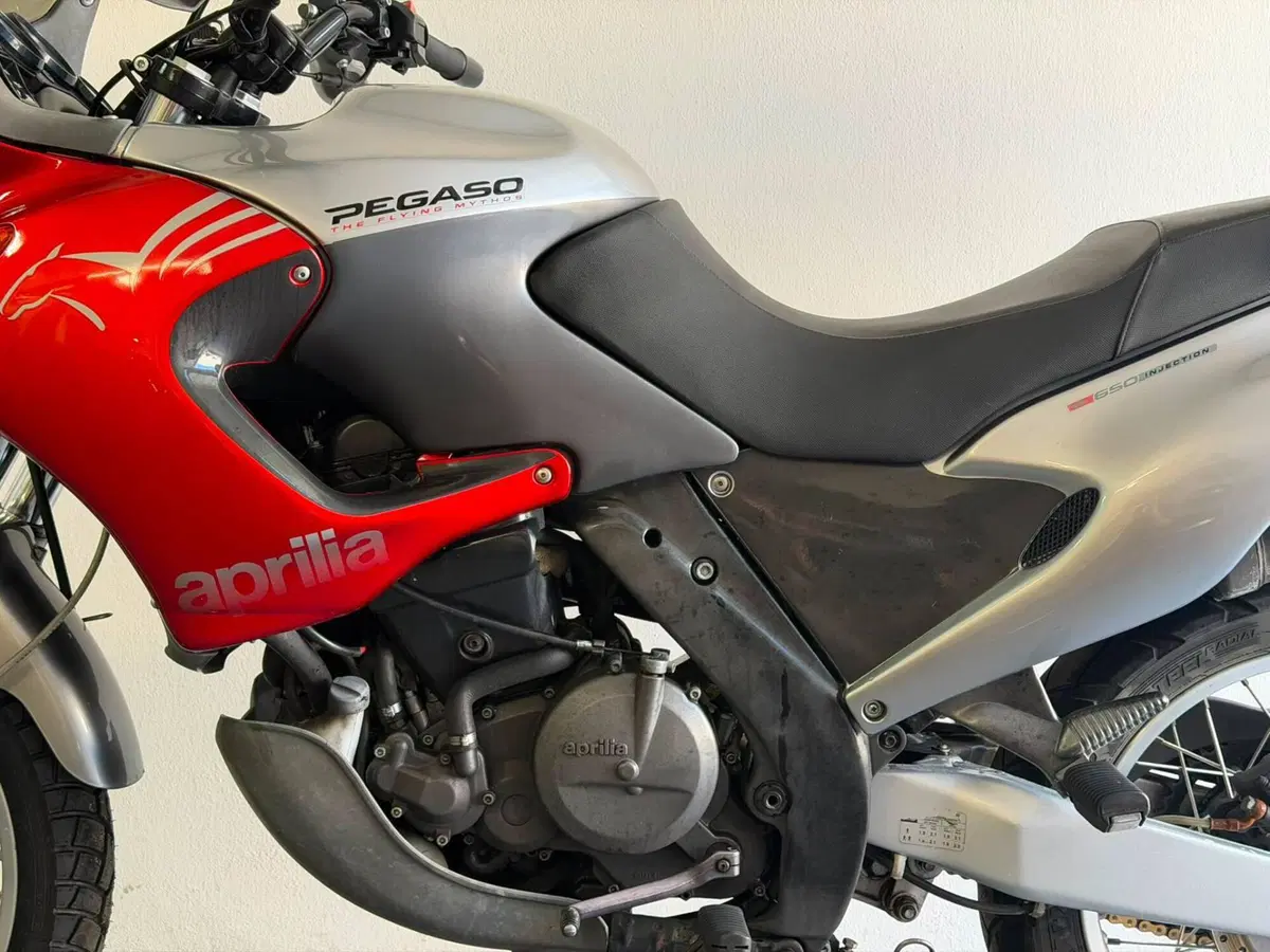 Aprilia Pegaso 650 IE (2003 - 04) (8)
