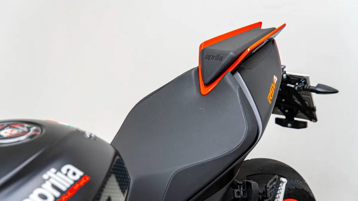Aprilia RSV4 1100 (2021 - 24) (15)