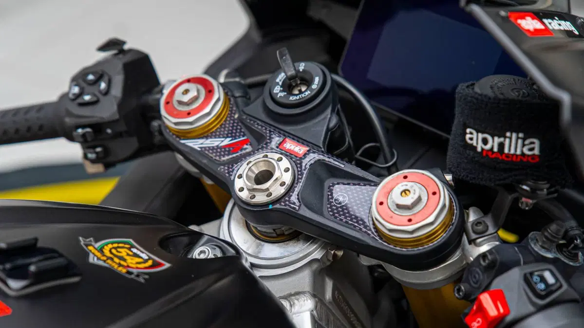 Aprilia RSV4 1100 (2021 - 24) (16)