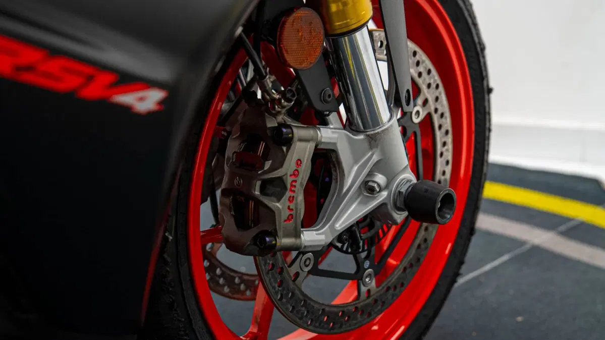 Aprilia RSV4 1100 (2021 - 24) (18)
