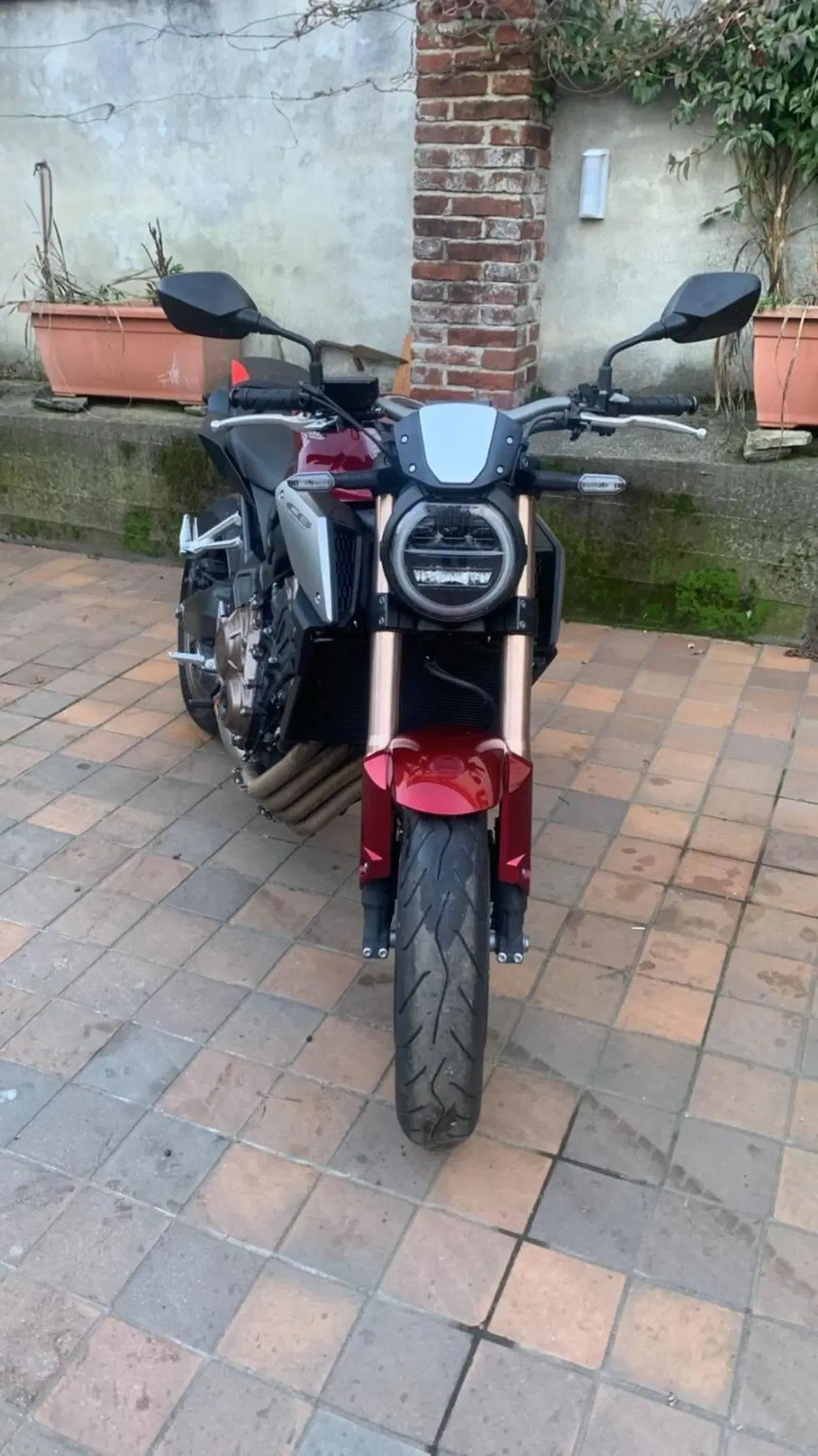 Honda CB 650 R (2021 - 23)