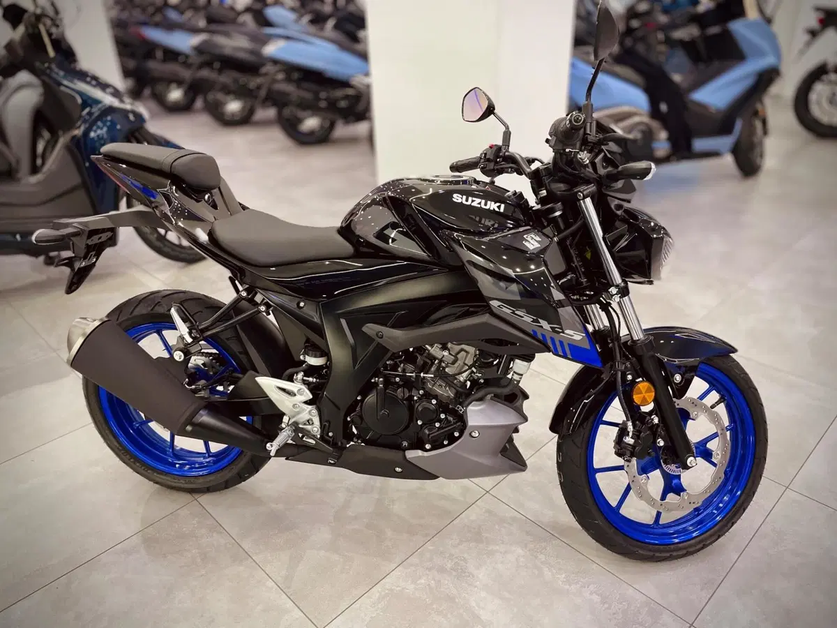 Suzuki GSX-S125 (2025 - 26) (2)