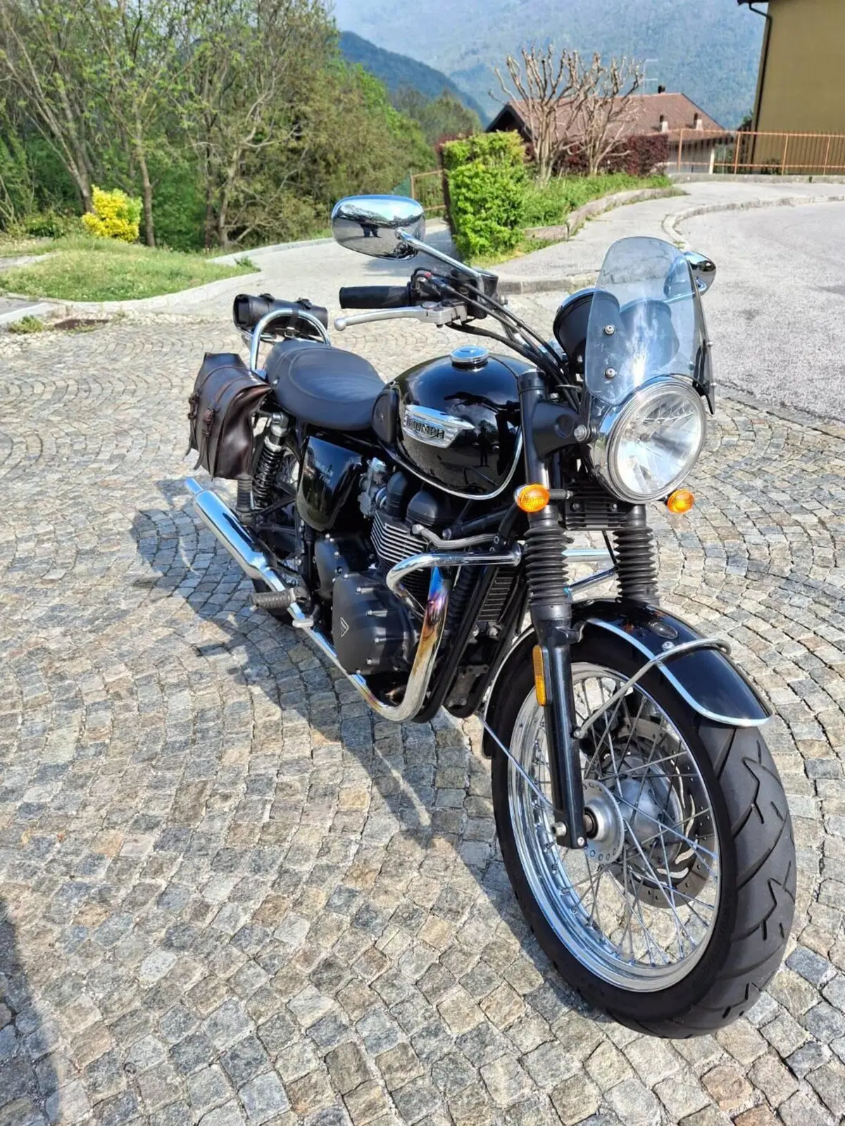 Triumph Bonneville T100 (2008 - 16) (4)