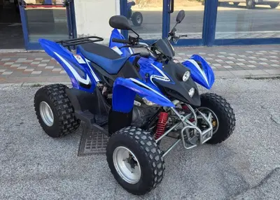 Aeon Cobra 220 usata