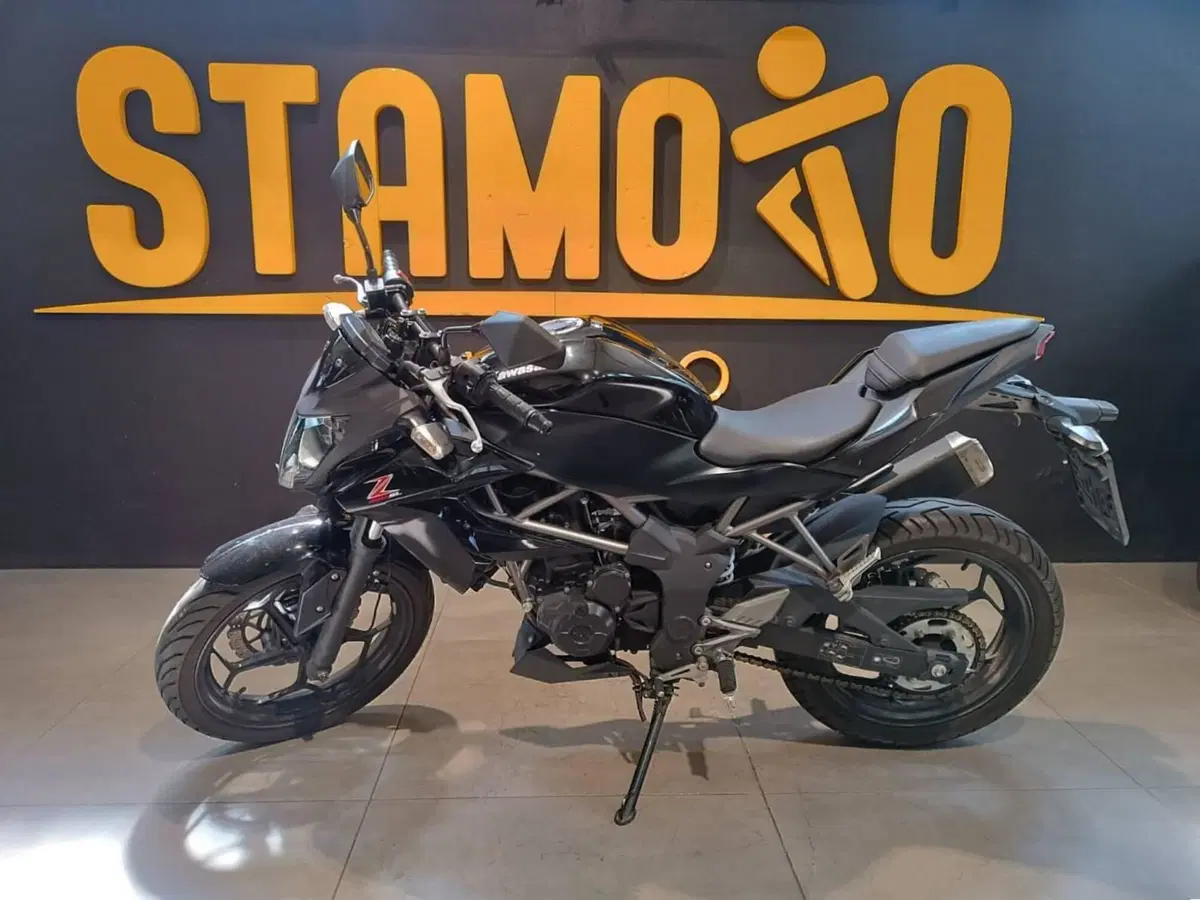 Kawasaki Z 250 SL ABS (2015 - 16) (3)