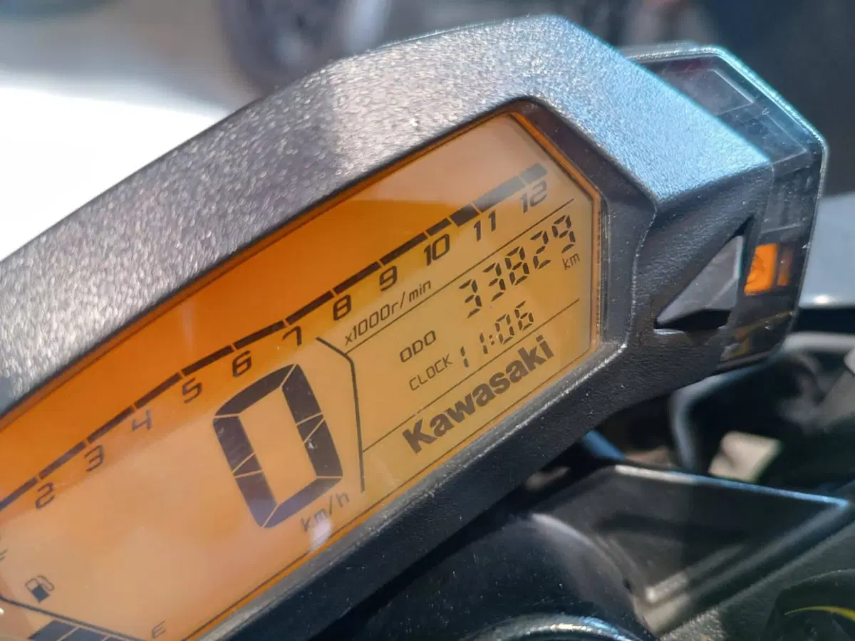 Kawasaki Z 250 SL ABS (2015 - 16) (4)