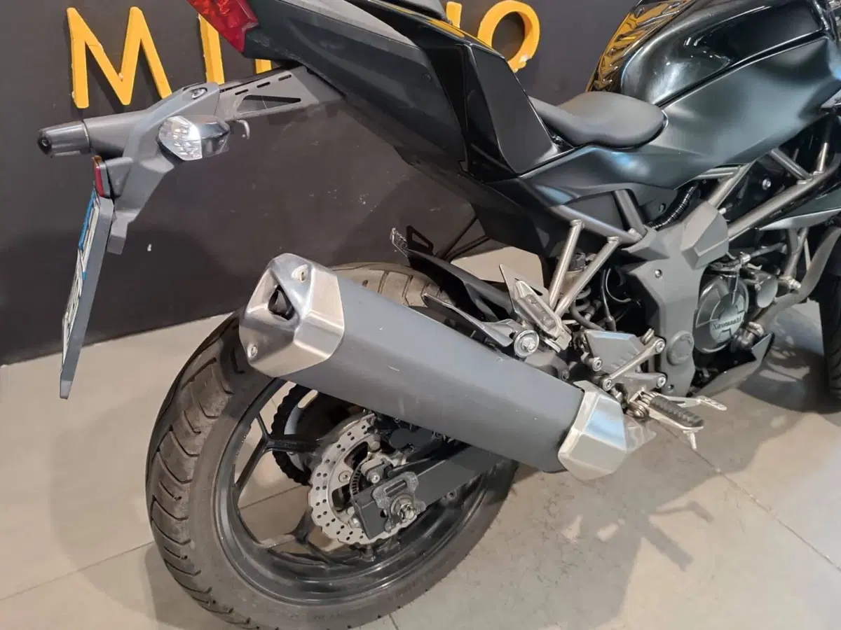 Kawasaki Z 250 SL ABS (2015 - 16) (5)