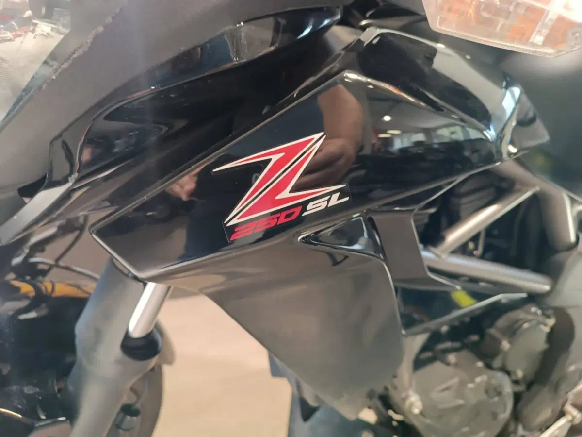 Kawasaki Z 250 SL ABS (2015 - 16) (6)