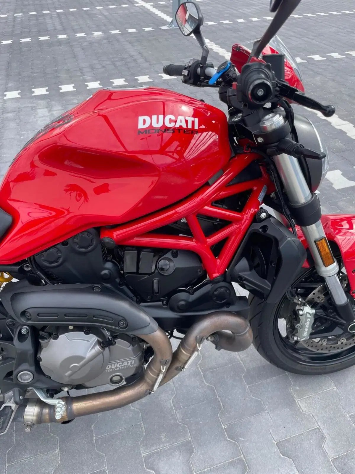 Ducati Monster 821 (2018 - 20) (6)