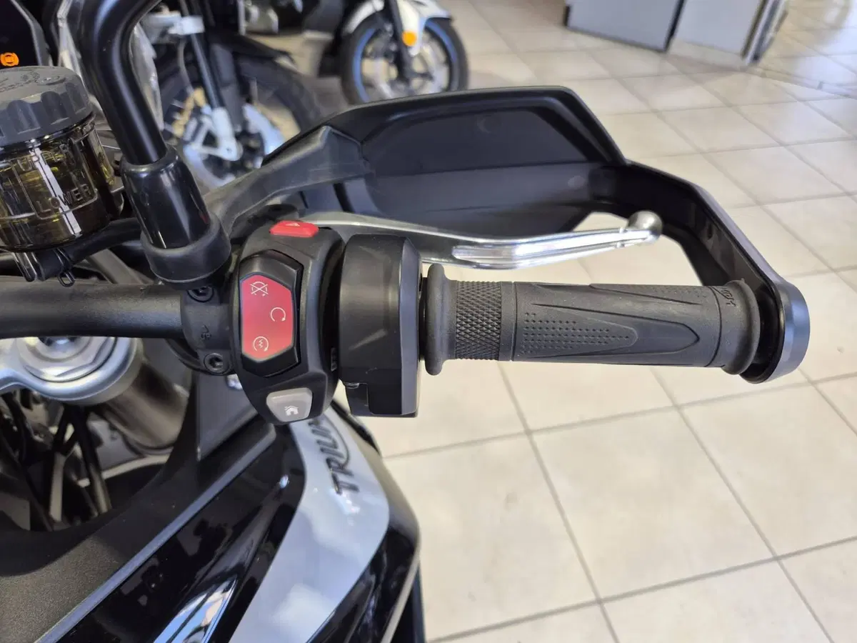 Triumph Tiger 900 GT Pro (2020 - 23) (14)