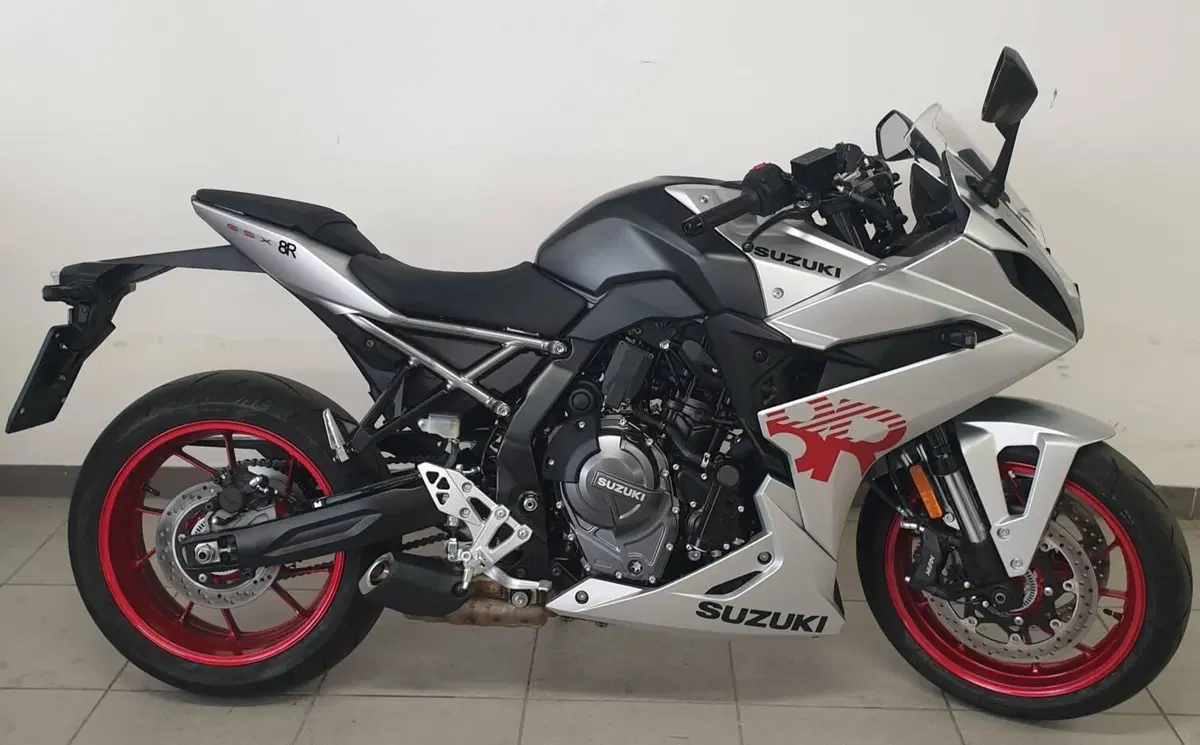 Suzuki GSX-8R (2024 - 26) (2)