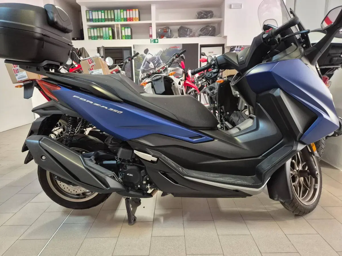 Honda Forza 350 (2022 - 24)