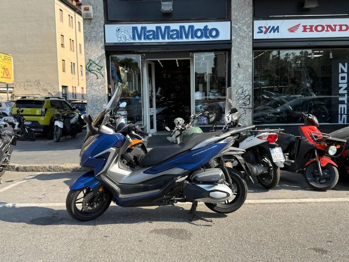 Honda Forza 300 ABS (2018 - 20)