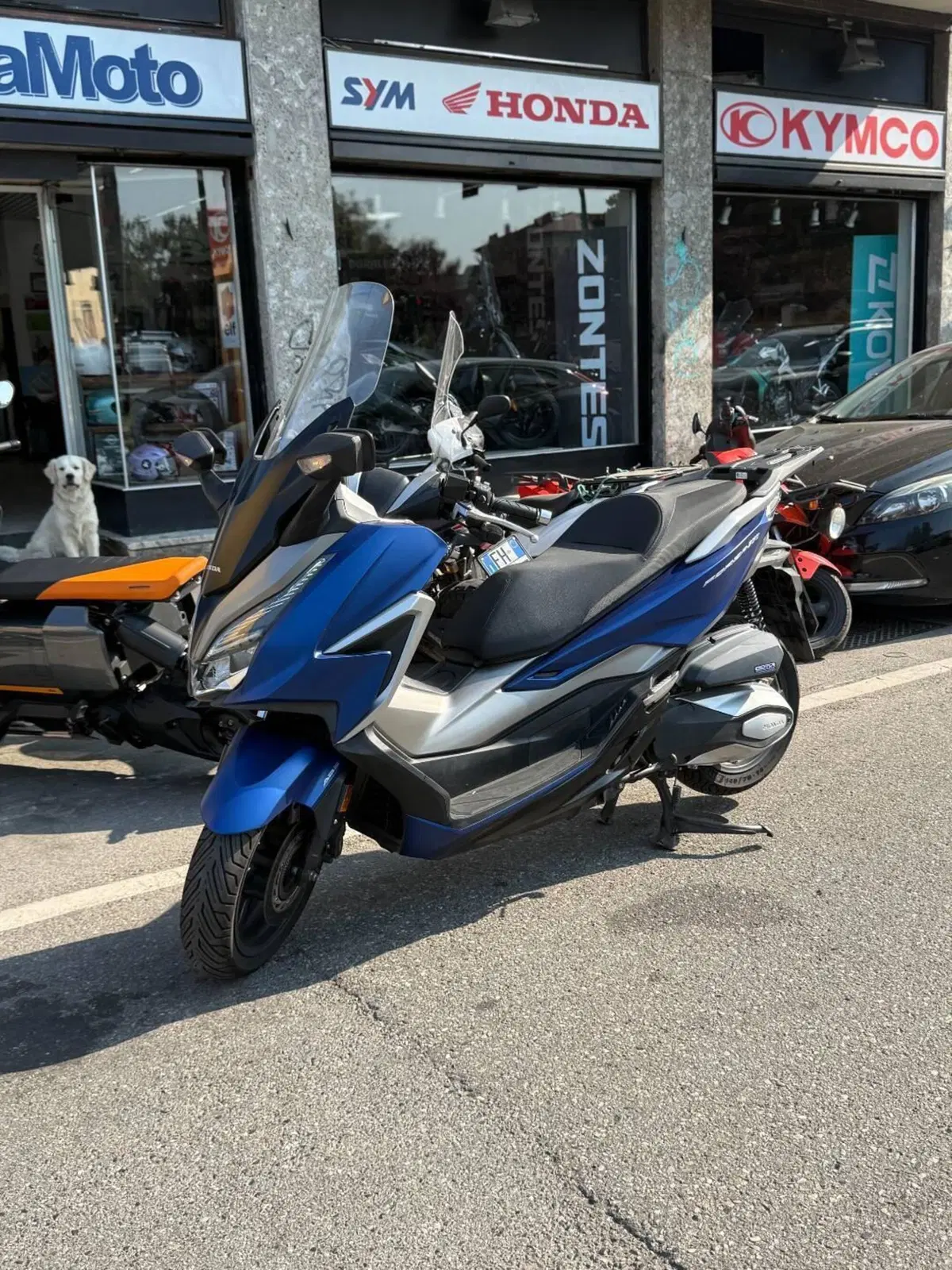 Honda Forza 300 ABS (2018 - 20) (2)