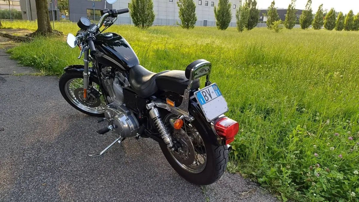 Harley-Davidson 883 Standard (2001 - 05) - XL 883 (2)