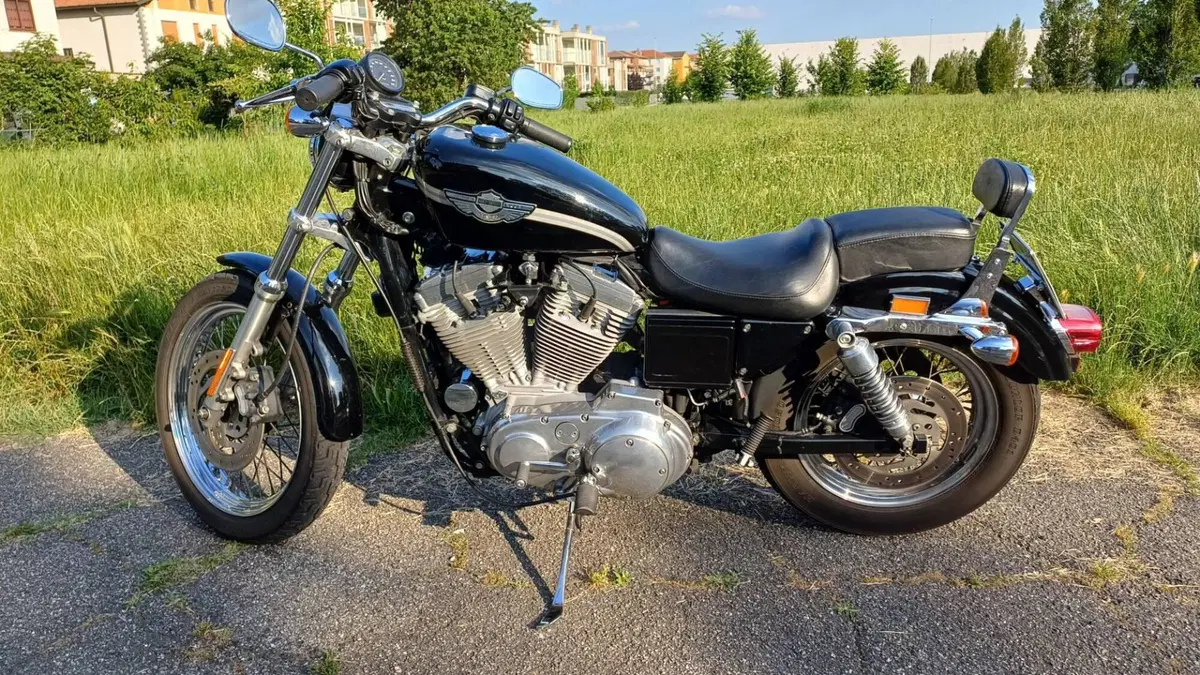 Harley-Davidson 883 Standard (2001 - 05) - XL 883 (3)