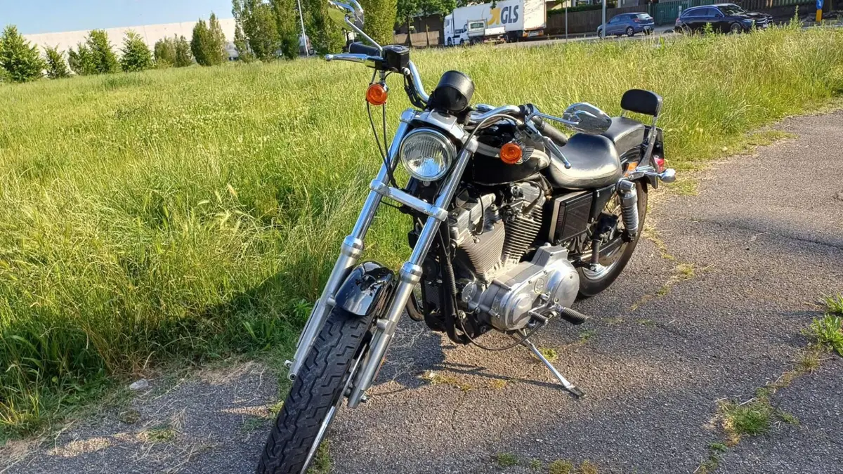 Harley-Davidson 883 Standard (2001 - 05) - XL 883 (4)