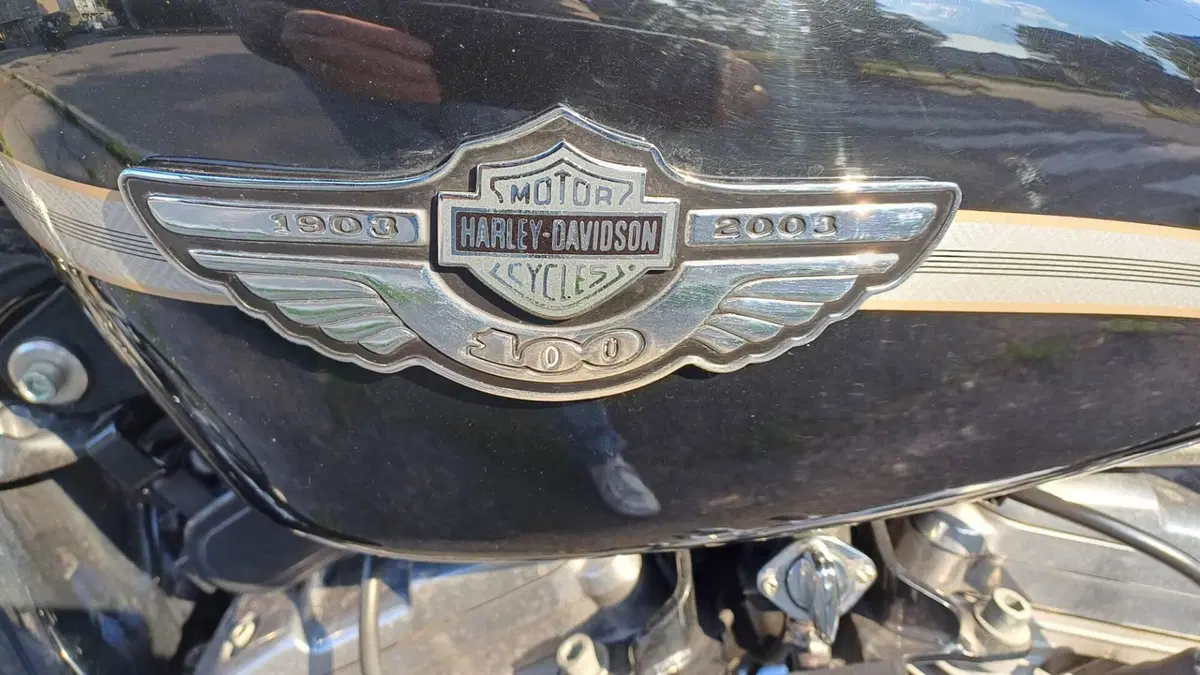 Harley-Davidson 883 Standard (2001 - 05) - XL 883 (5)