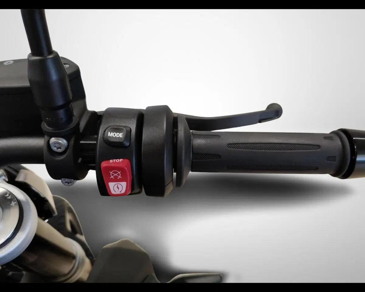 Bmw F 900 R (2021 - 24) (9)