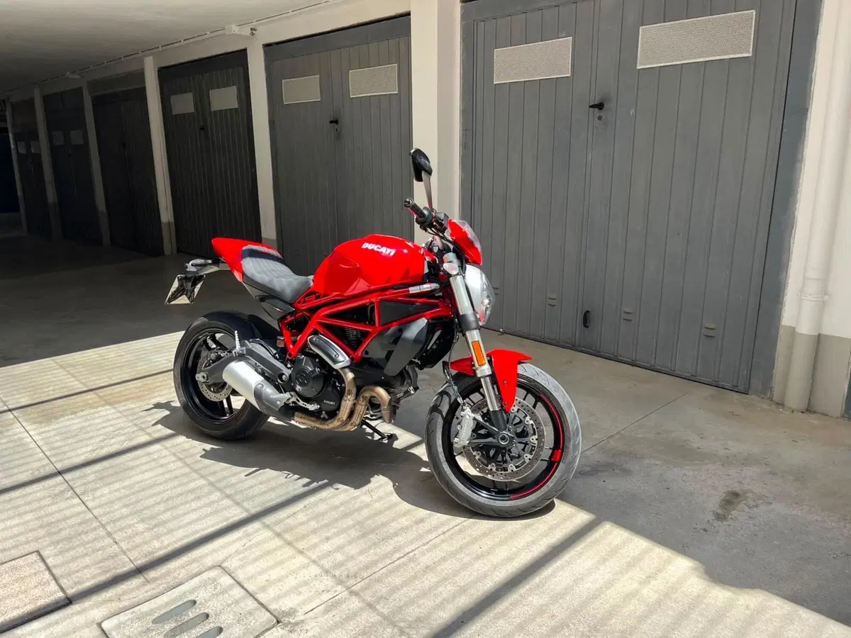 Ducati Monster 797 (2019 - 20)