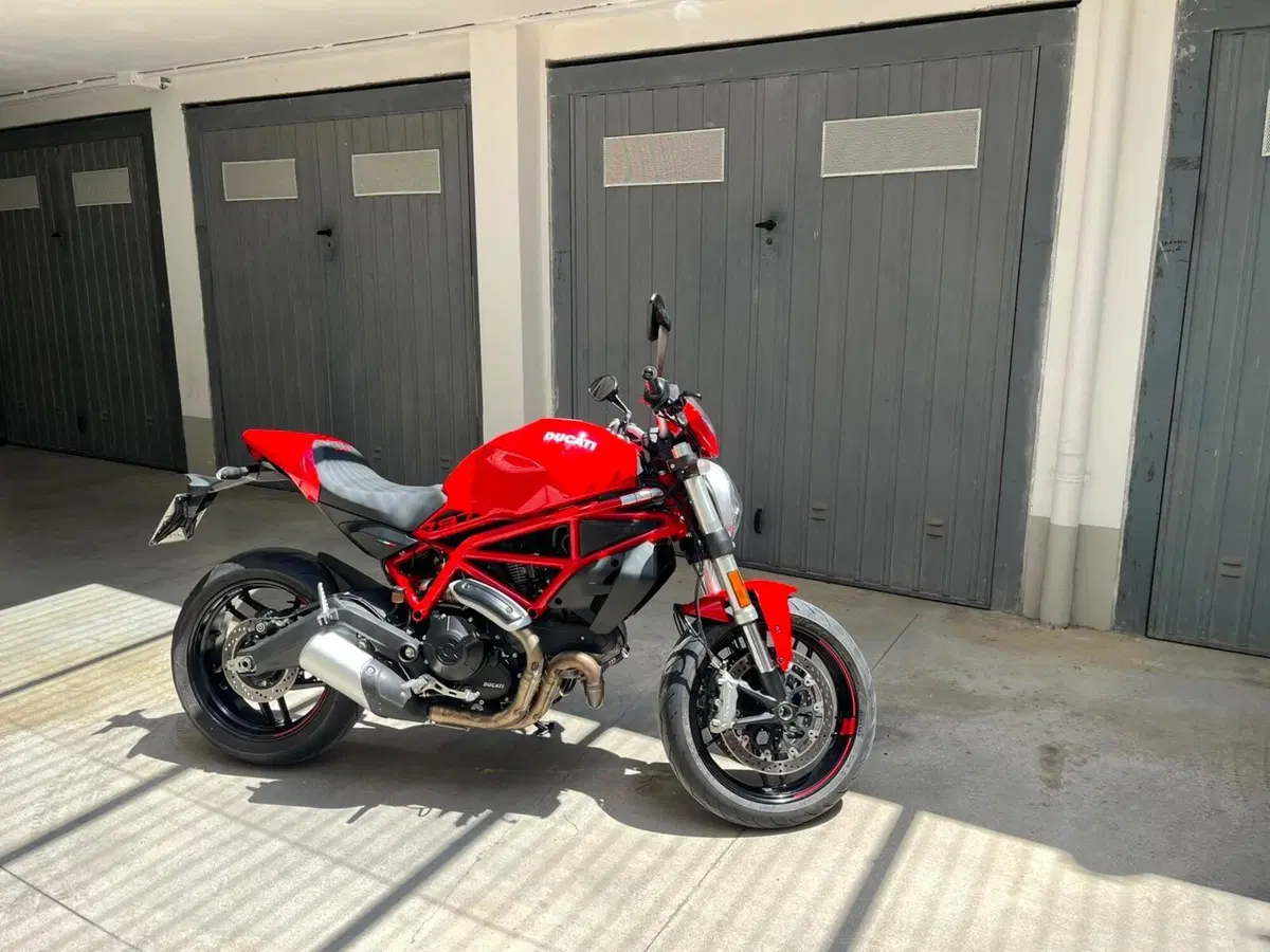 Ducati Monster 797 (2019 - 20) (4)