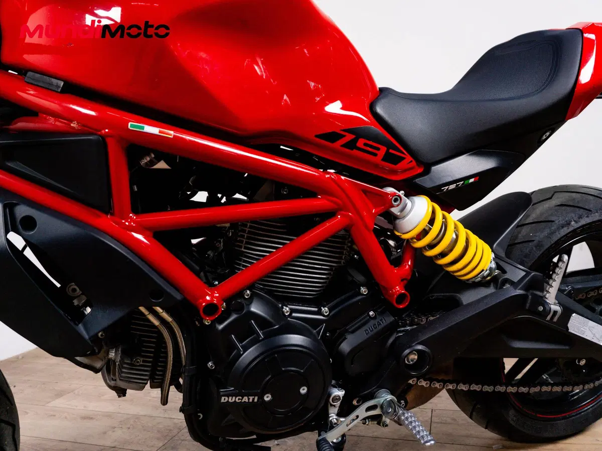 Ducati Monster 797 Plus (2019) (9)