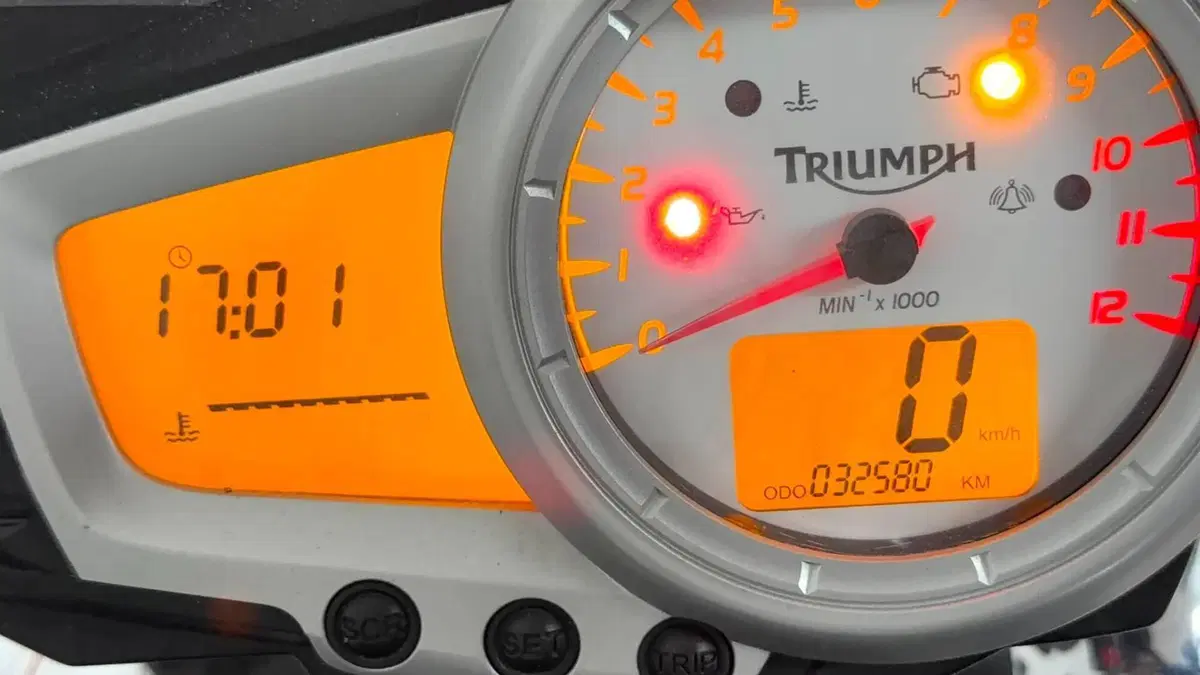 Triumph Speed Triple 1050 SE 15th Anniversary (2009 -10) (3)