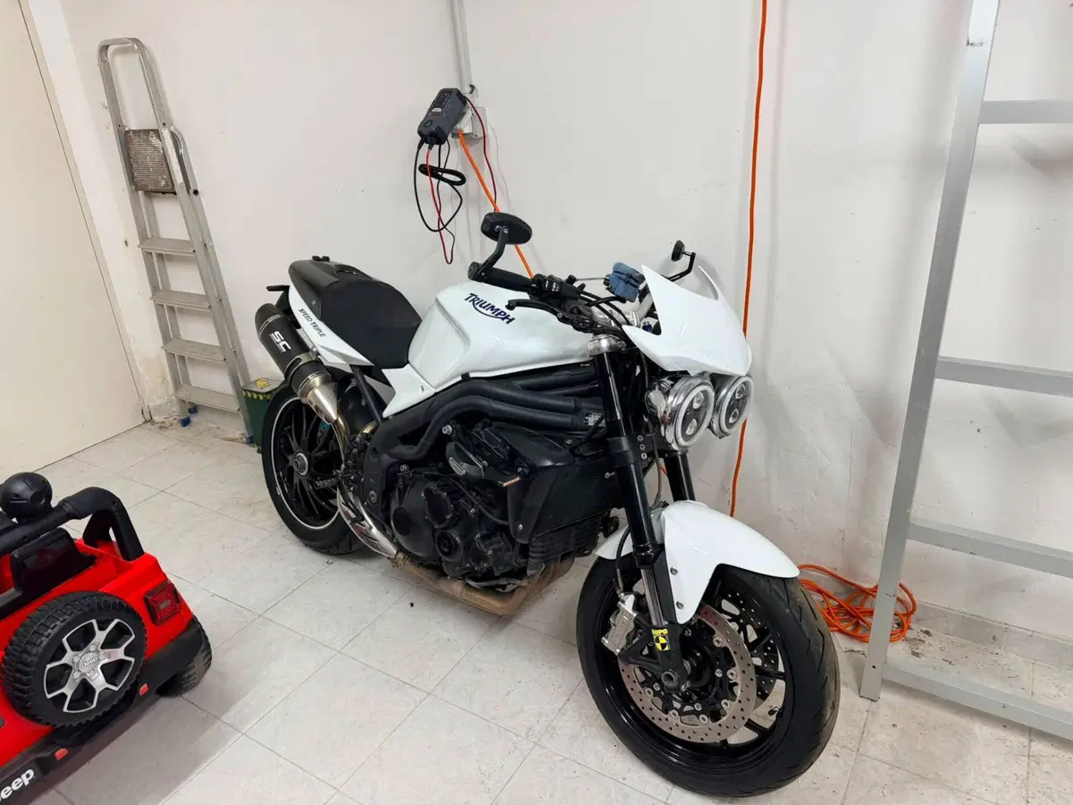 Triumph Speed Triple 1050 SE 15th Anniversary (2009 -10)