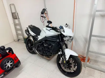 Triumph Speed Triple 1050 SE 15th Anniversary (2009 -10) usata