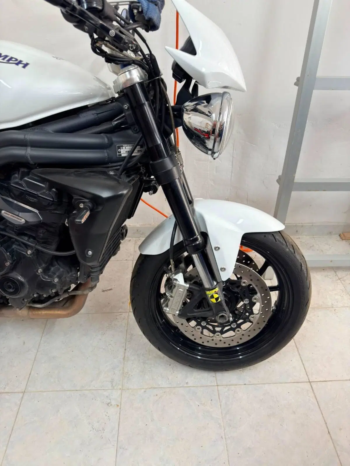 Triumph Speed Triple 1050 SE 15th Anniversary (2009 -10) (5)