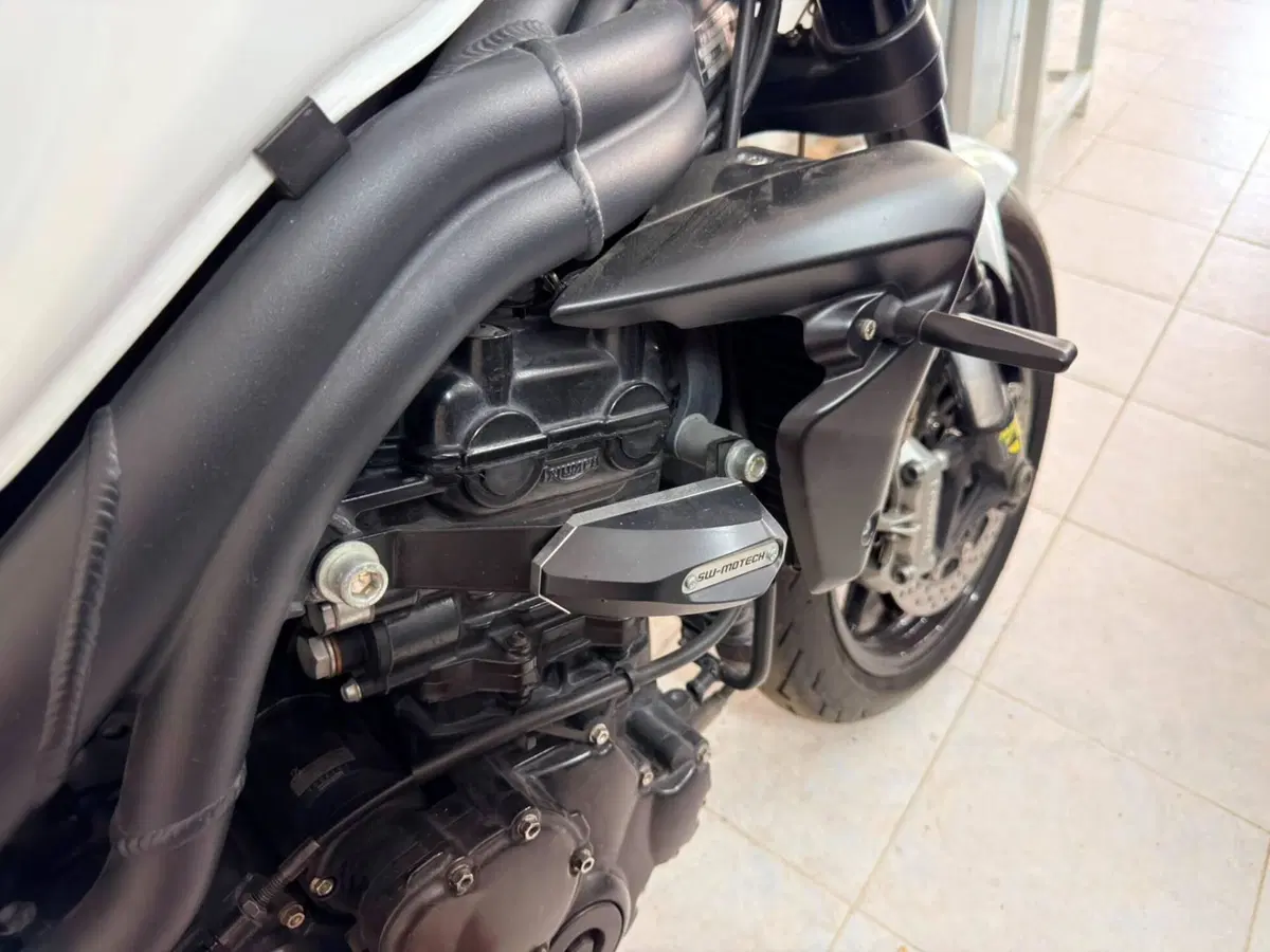 Triumph Speed Triple 1050 SE 15th Anniversary (2009 -10) (6)