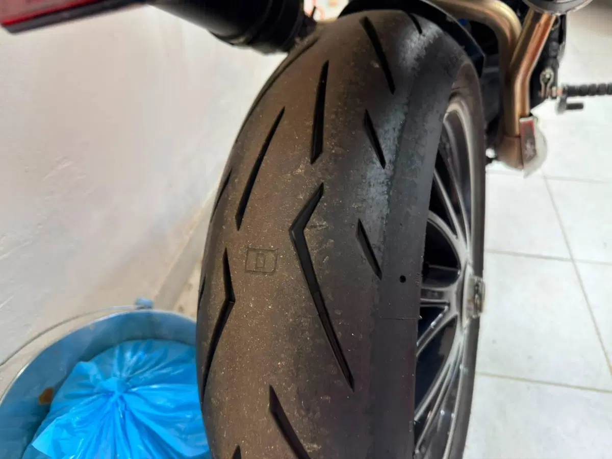 Triumph Speed Triple 1050 SE 15th Anniversary (2009 -10) (7)