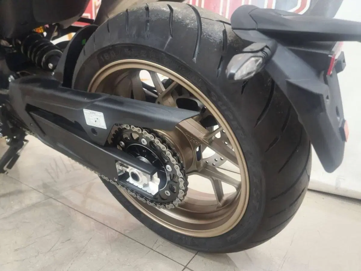 CFMOTO 800NK Sport (2023 - 26) (9)