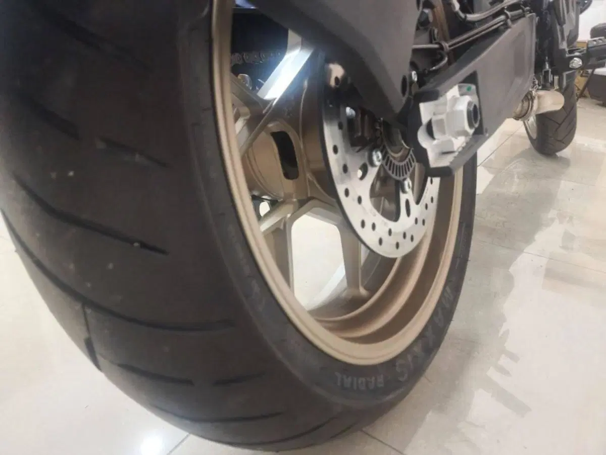 CFMOTO 800NK Sport (2023 - 26) (11)