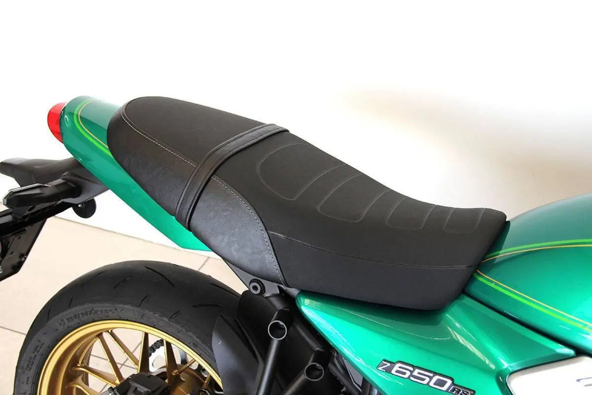 Kawasaki Z 650 RS (2022 - 24) (7)