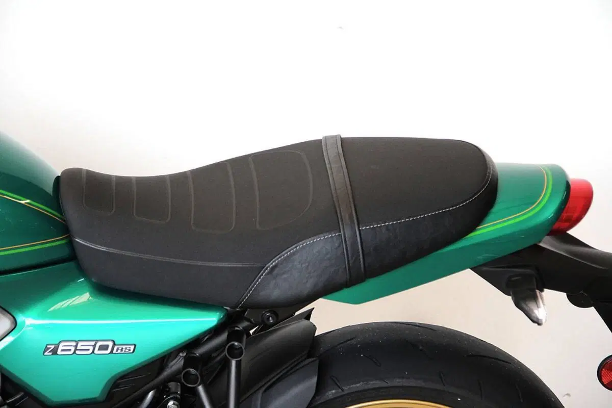 Kawasaki Z 650 RS (2022 - 24) (16)
