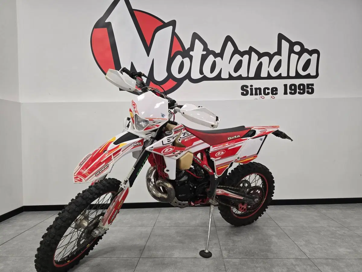 Betamotor RR 300 2T Enduro (2013) (2)