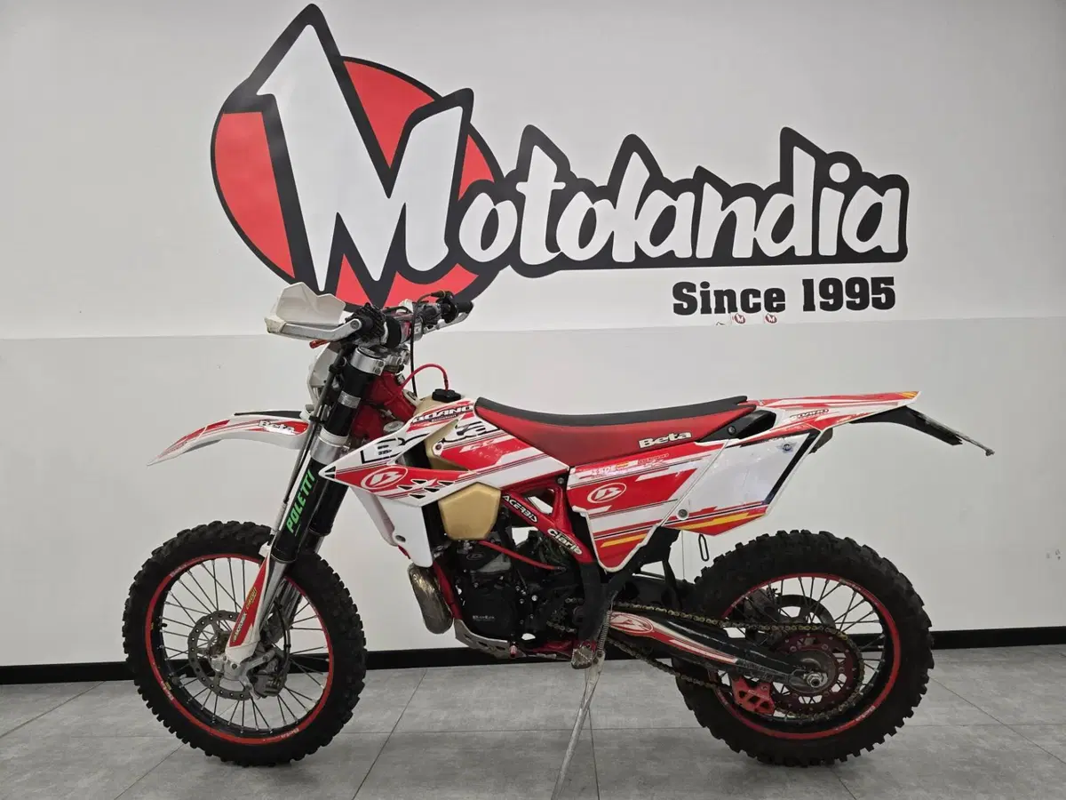 Betamotor RR 300 2T Enduro (2013) (3)