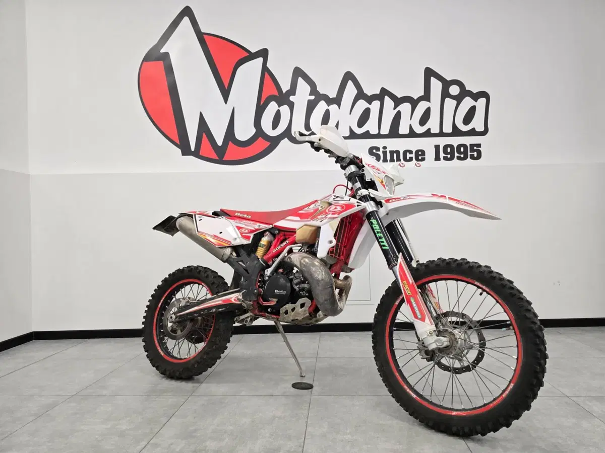 Betamotor RR 300 2T Enduro (2013)